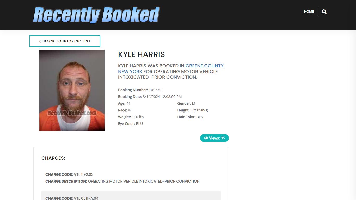 Recent Booking / Mugshot for KYLE HARRIS in Greene County, New York